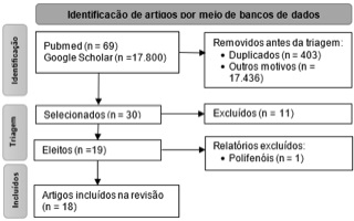 Figura 1. Fluxograma do processo de seleção dos estudos