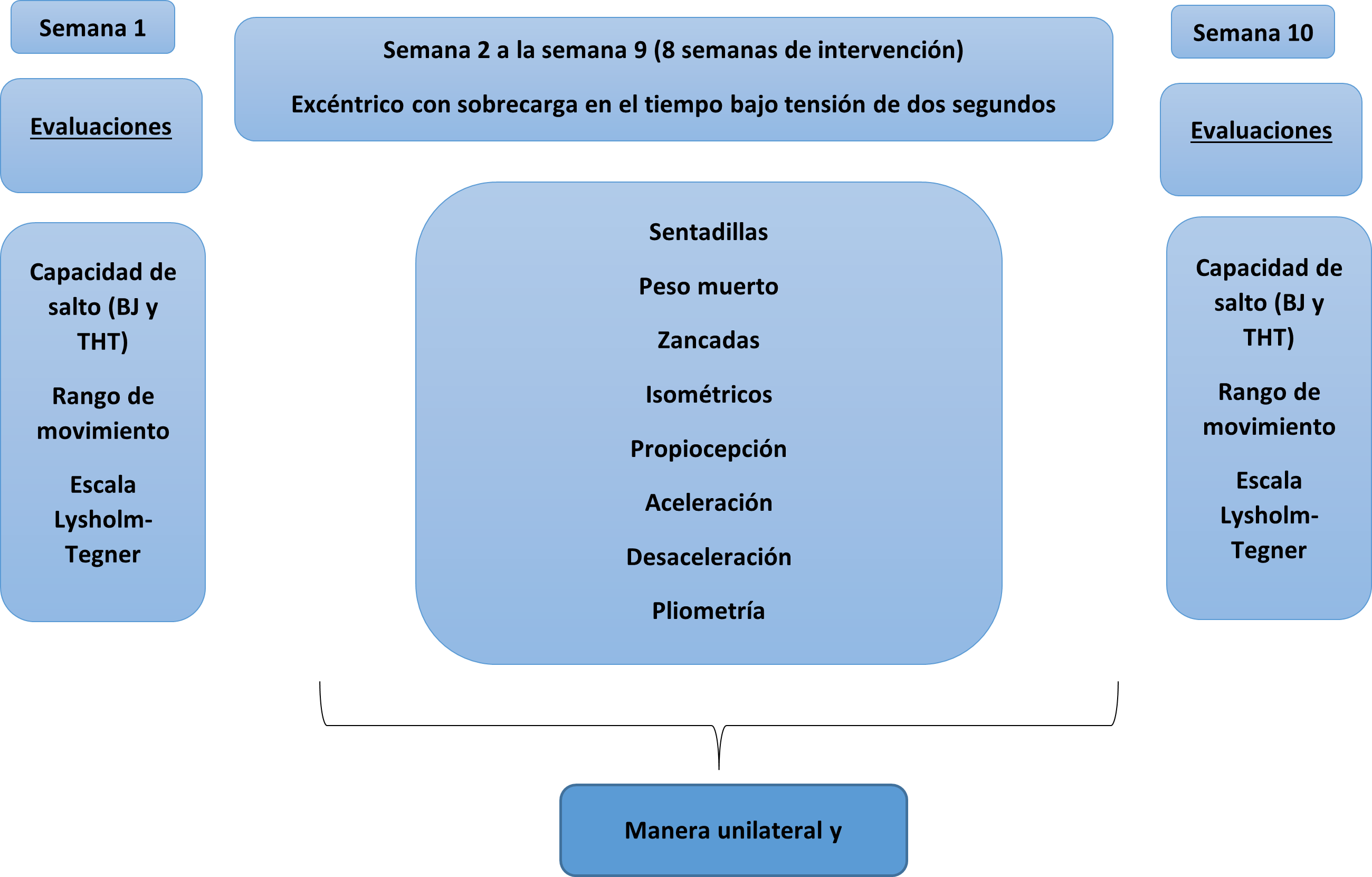 Figura 1. Esquema de las etapas de la intervención.